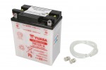 Maintenance battery